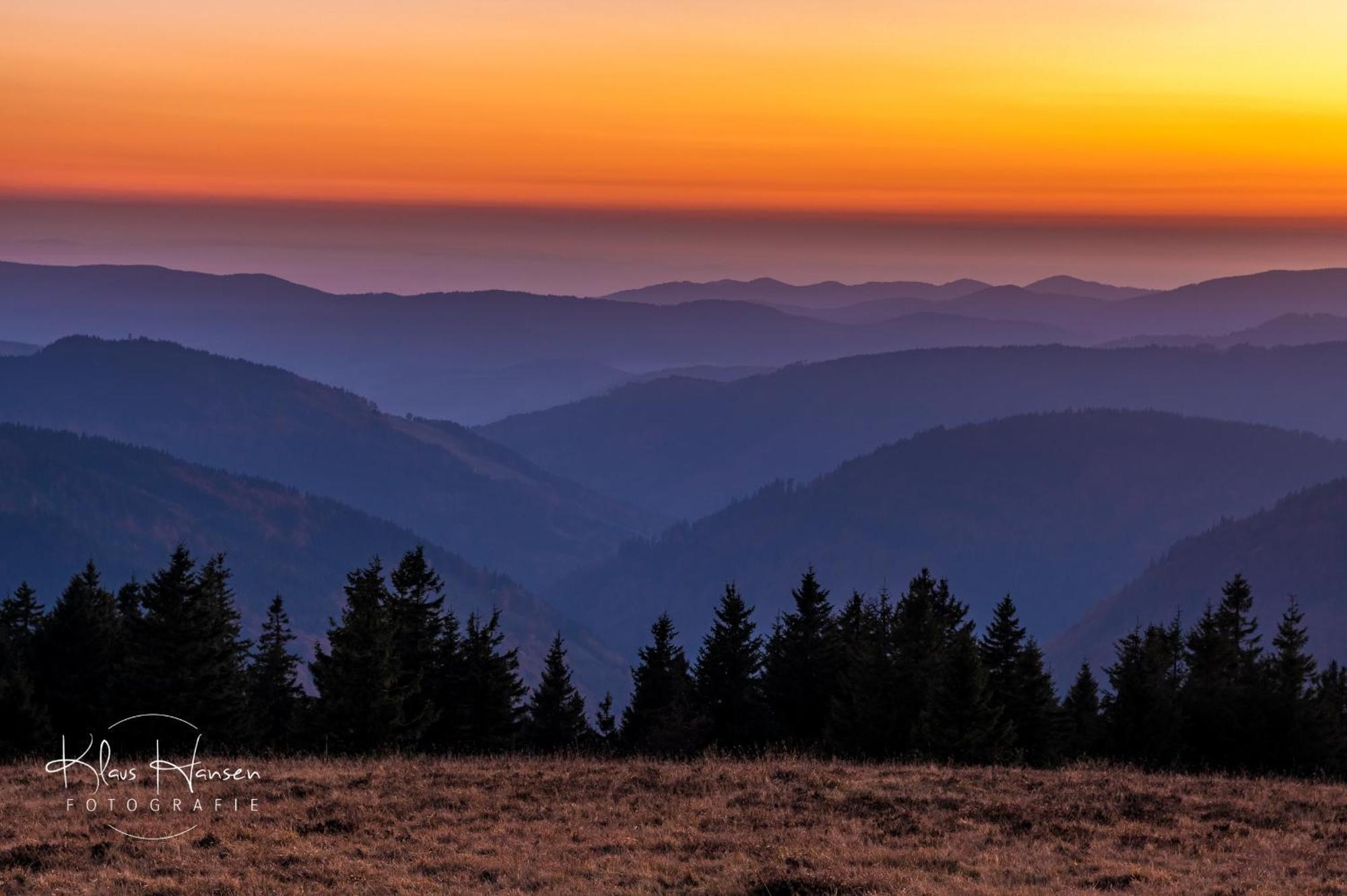 Апартаменты Fewo Sunneschii, Hoechenschwand, Dorf Am Himmel, Sauna Im Haus Экстерьер фото