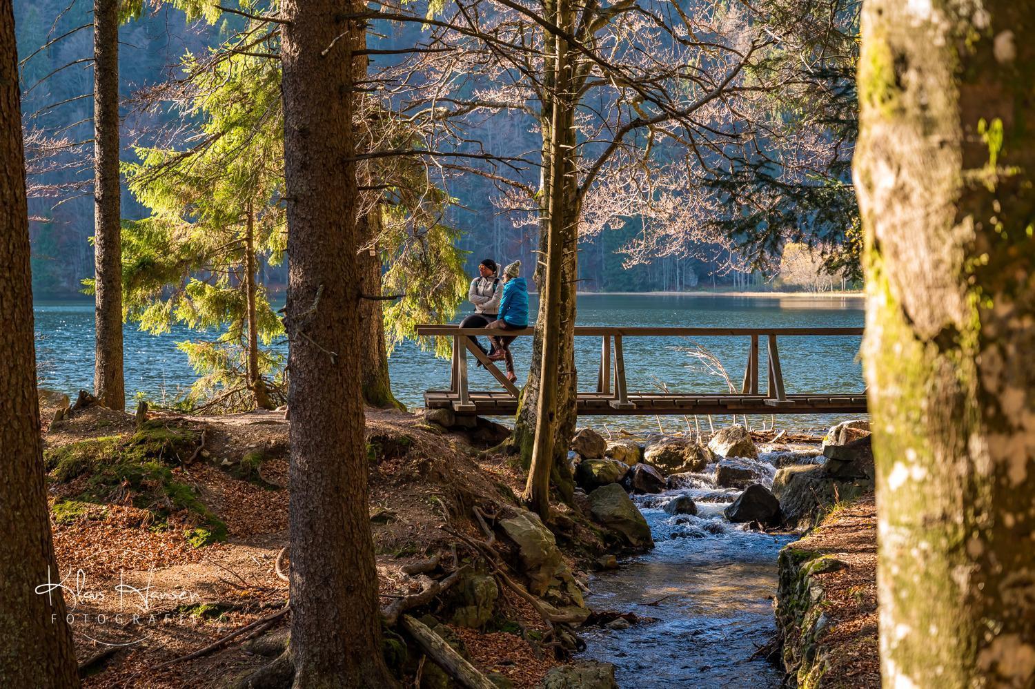 Апартаменты Fewo Sunneschii, Hoechenschwand, Dorf Am Himmel, Sauna Im Haus Экстерьер фото